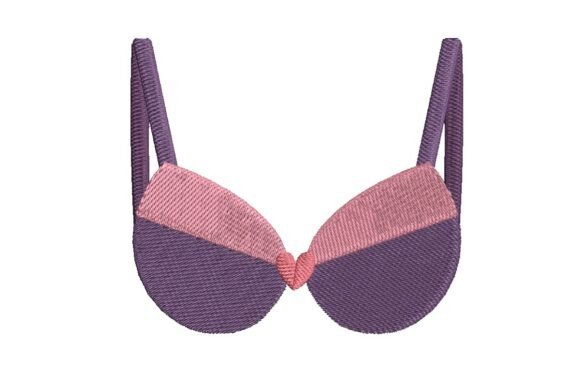 Stylish Two-Tone Bra Embroidery Design
